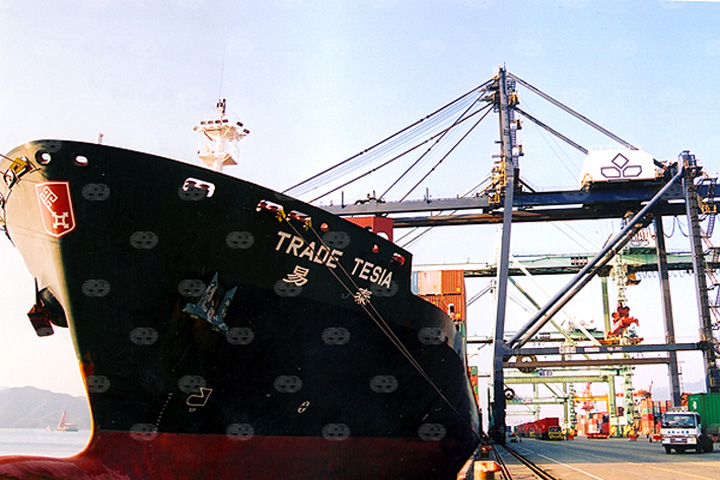 Yang Ming's "Trade Tesia" on 10 Jan 2003