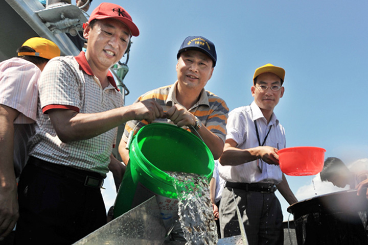 20 million fingerlings are released at Yantian Port.