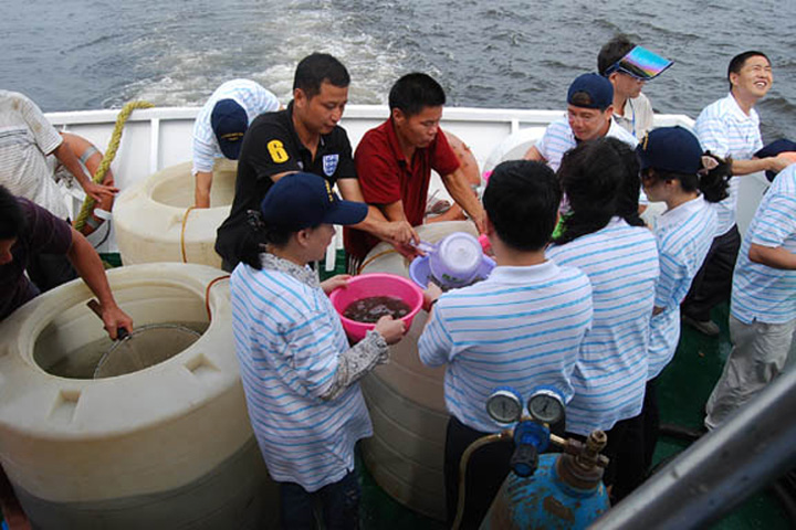 On 6 August, YICT, Yantian Port Group, Yantian Port Holdings and Shenzhen Agriculture and Fishery Bureau jointly released seven million fingerlings into Dapeng Bay in eastern Shenzhen. The event, the third of its kind held at Yantian Port, was a major step to preserve the fish species and the aquatic environment.