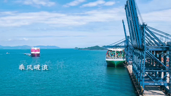 5.gif