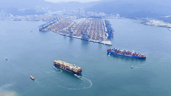 1771992171191018805.gif gif.gif