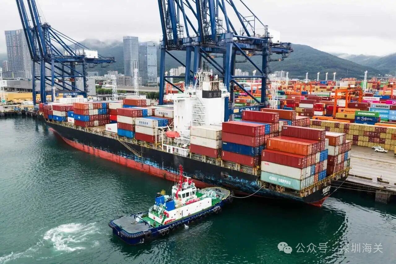 1781685510998020062.jpg 1or封面.jpg